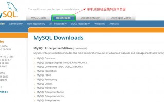 enterprise edition，