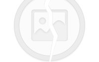 抓取网页数据，抓取网页数据工具